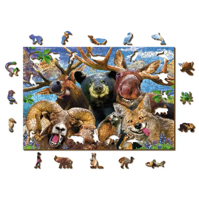 Wooden Puzzle 500 Into The Woods 8