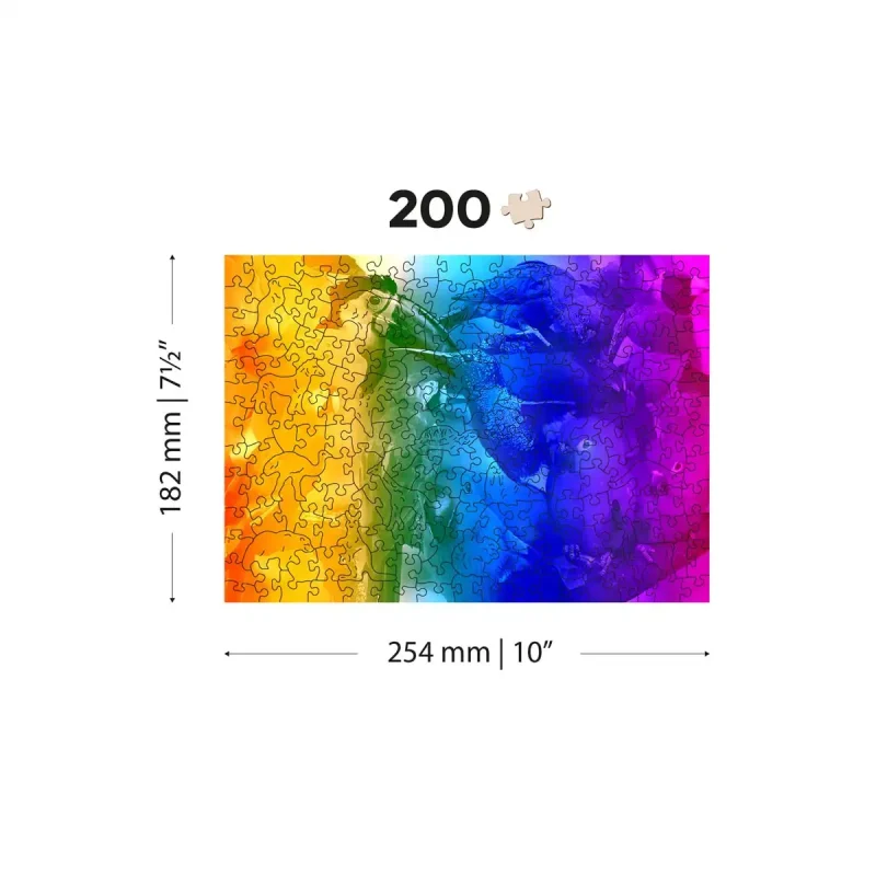 Wooden Puzzle 200 Birds Paradise 6