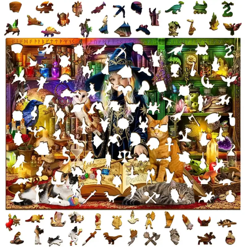 Wooden Puzzle 1000 Magical Library